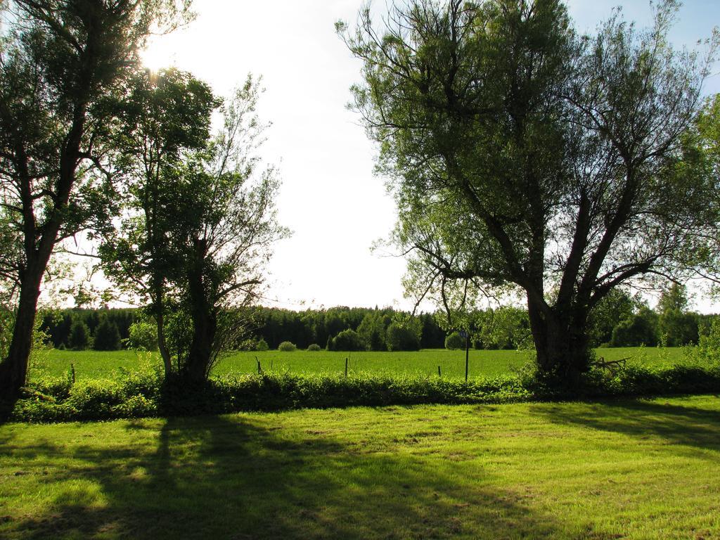 Soedra Ljunga Vandrarhem Ljungby  Quarto foto